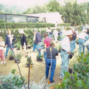 Fall Plant Sale, 2000