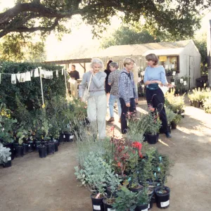 Fall Plant Sale, 2000