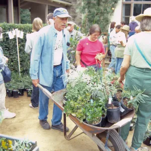 Fall Plant Sale, 2000