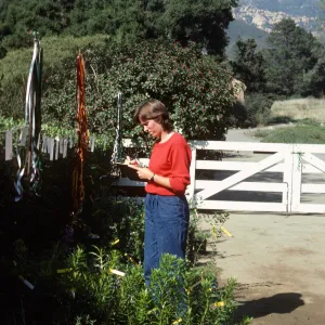 Fall Plant Sale, 1985