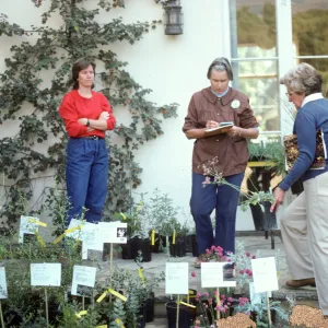 Fall Plant Sale, 1985