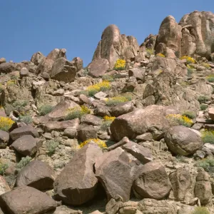 Antelope Valley
