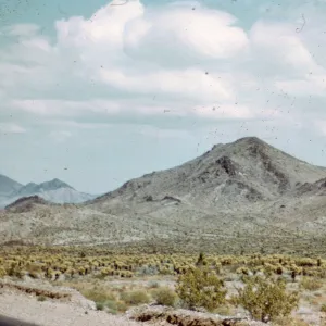 Highway 66, Mojave Desert, Creosote Bush Scrub