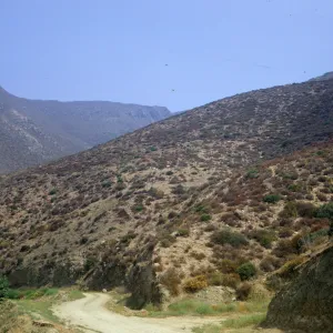 Lockwood Valley