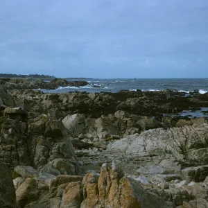 Monterey, site of wreck of SS Paul
