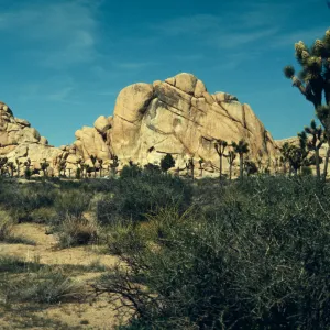 Hidden Valley, Joshua Tree National Monument