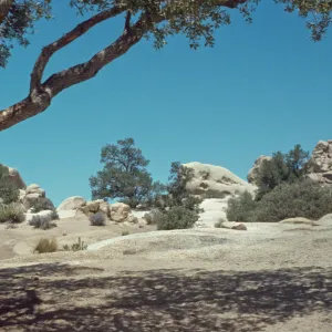 Hidden Valley Camp, Joshua Tree National Monument