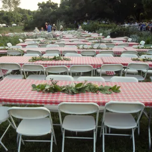 SBBG Members BBQ, 2001, tables in the Meadow