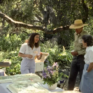 SBBG Members Day Picnic, 1986, the cake table, under the oaks