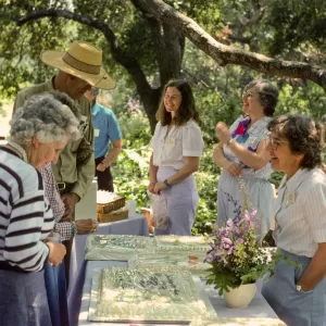 SBBG Members Day Picnic, 1986, the cake table, under the oaks