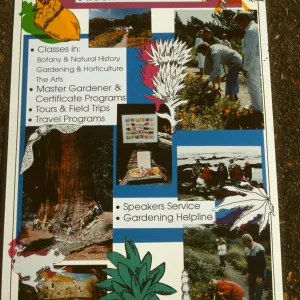 Programs for Adults, display easel