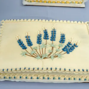 Lupine cake, SBBG Members Day Picnic, 1988