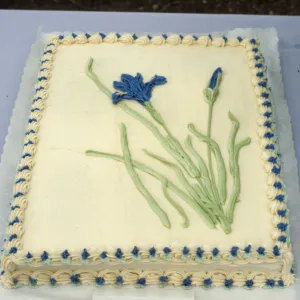 Iris cake, SBBG Members Day Picnic, 1988