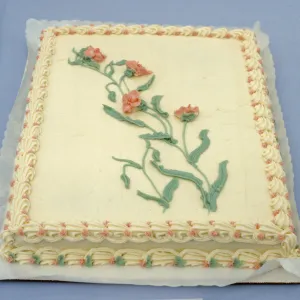 flower cake, SBBG Members Day Picnic, 1988