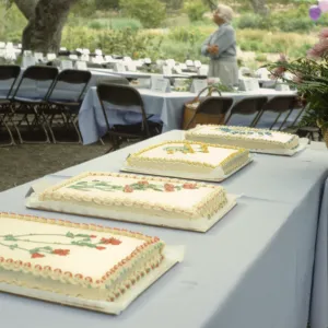 cake table, SBBG Members Day Picnic, 1988