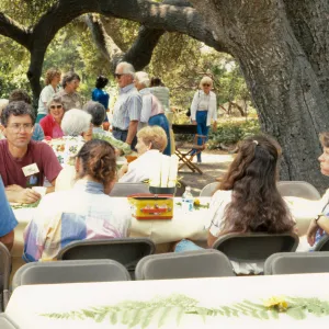 SBBG Members Day Picnic, 1987, under the Meadow Oaks