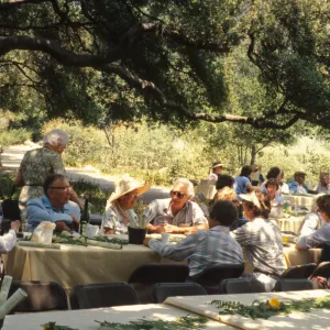 SBBG Members Day Picnic, 1987, under the Meadow Oaks