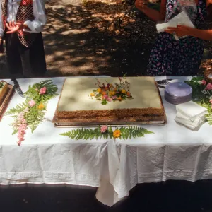 SBBG Members Day Picnic, 1996, the cake table
