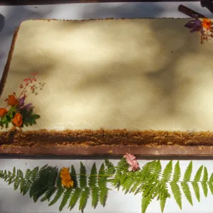 SBBG Members Day Picnic, 1996, the cake