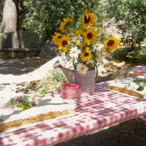 SBBG Members Day Picnic, 1997, the cake table