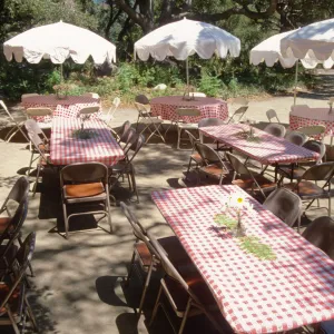 SBBG Members Day Picnic, 1997