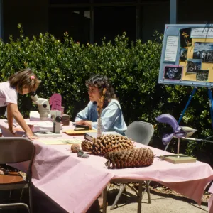 SBBG Members Day Picnic, 1990
