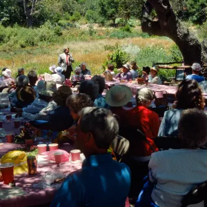 SBBG Members Day Picnic, 1990