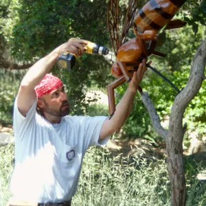 Big Bugs