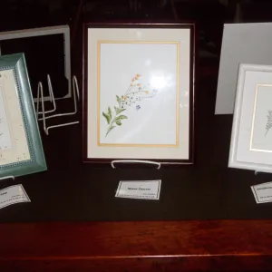 Metzger's Art Class Exhibit