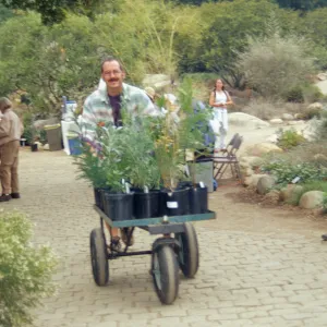 Plant Sale