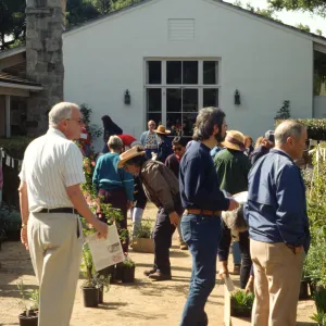 Plant Sale