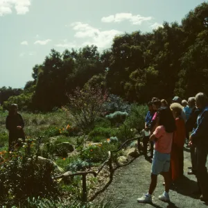 Tour with Mary Carroll