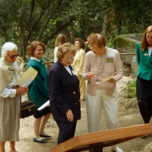 Plant Fiber Art Dedication