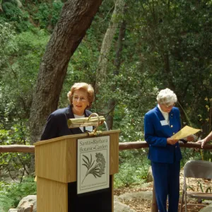 Plant Fiber Art Dedication