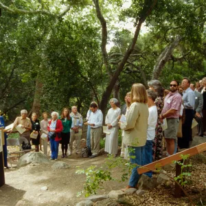 Plant Fiber Art Dedication