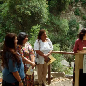 Plant Fiber Art Dedication