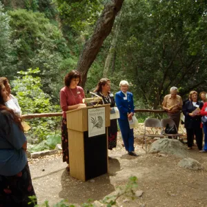 Plant Fiber Art Dedication
