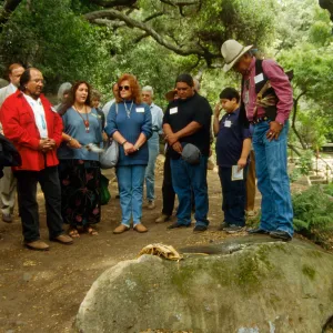 Plant Fiber Art Dedication