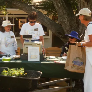 Fall Plant Sale