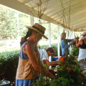Fall Plant Sale