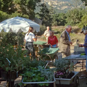 Fall Plant Sale