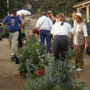 Fall Plant Sale