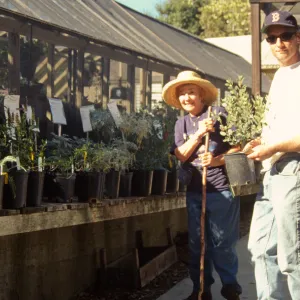 Fall Plant Sale
