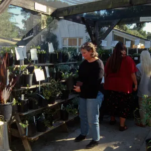 Fall Plant Sale