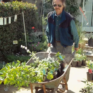 Spring Plant Sale 1999