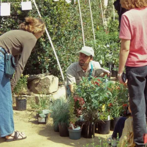 Spring Plant Sale 1999