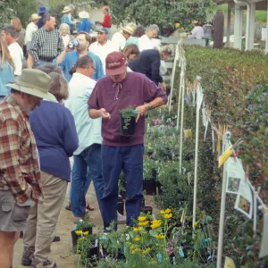 Spring Plant Sale 1999