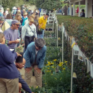 Spring Plant Sale 1999