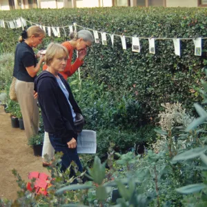 Fall Plant Sale Presale