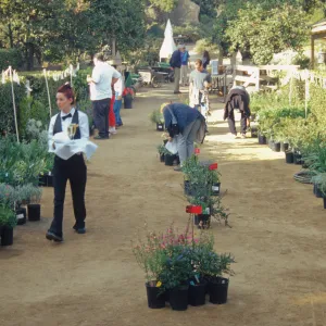 Fall Plant Sale Presale